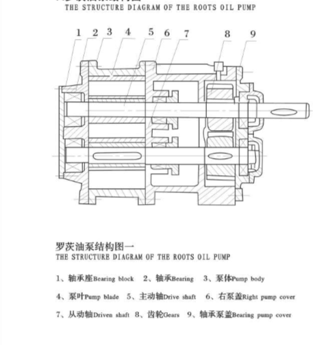 bơm 1