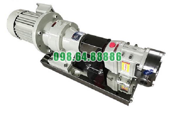 Máy bơm lobe 3RP-10 đường kính kết nối 32 mm lưu lượng 6 m3/h