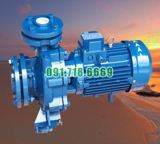 Máy bơm nước li tâm trục ngang CM32-160A công suất 3 kw