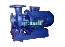 Bơm nước trục ngang SLW-ISW50-100 lưu lượng 4.53 L/s